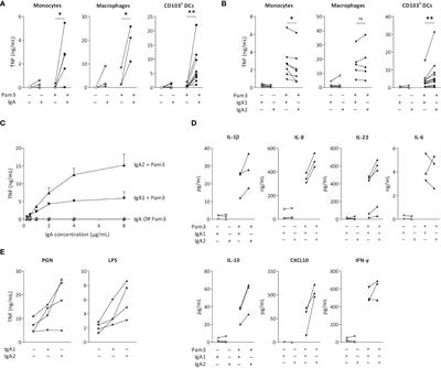 IgA2 immune complexes selectively promote inflammation by human CD103+ dendritic cells